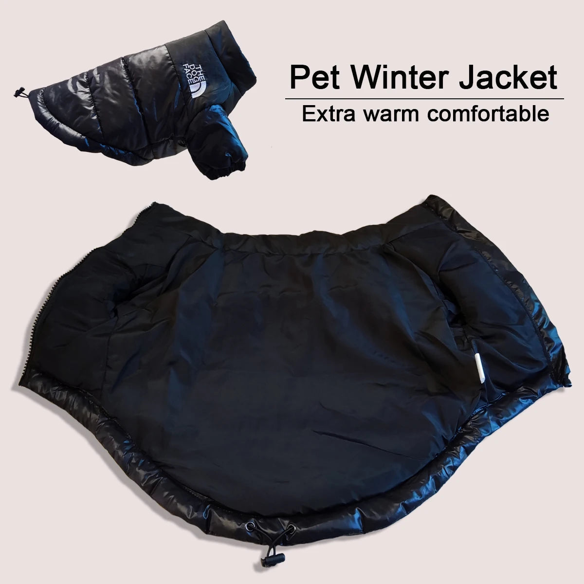 The Dog Face Windproof Jacket