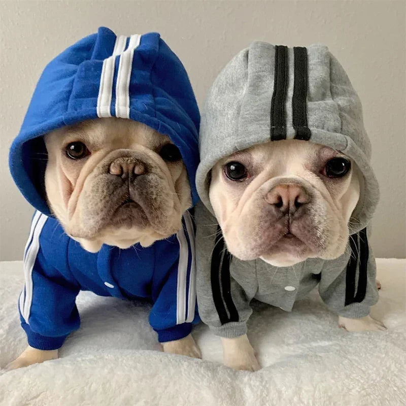 Adidog Tracksuit