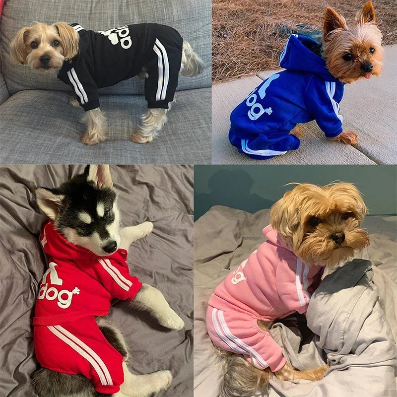 Adidog Tracksuit