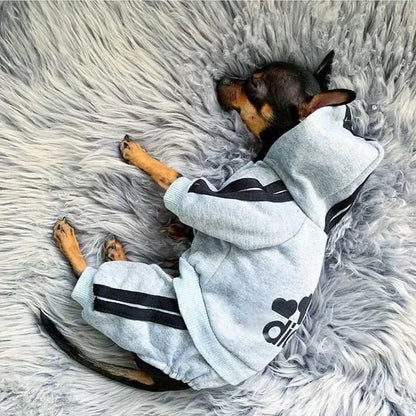 Adidog Tracksuit