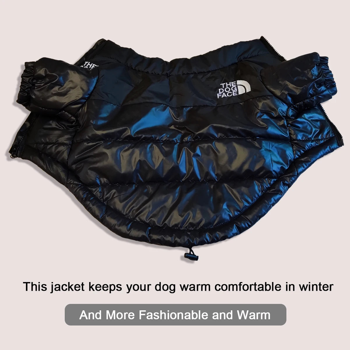 The Dog Face Windproof Jacket