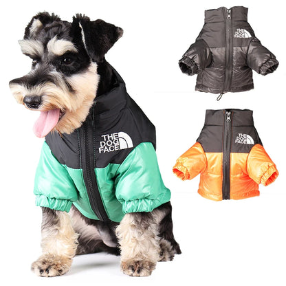 The Dog Face Windproof Jacket