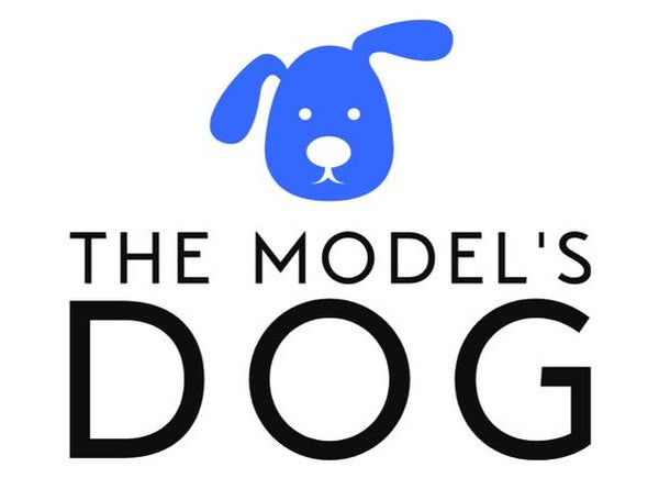 The Models Dog